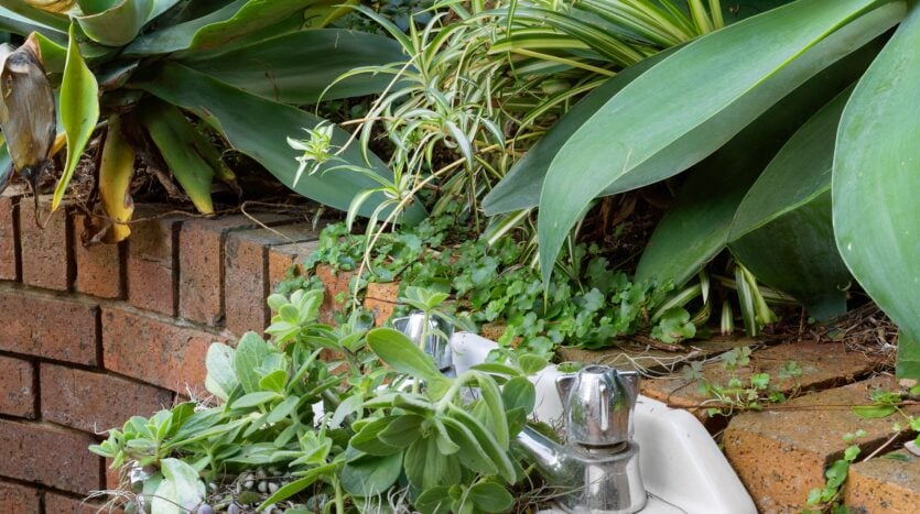 Terri Mackay Realty -  71 Dover Place