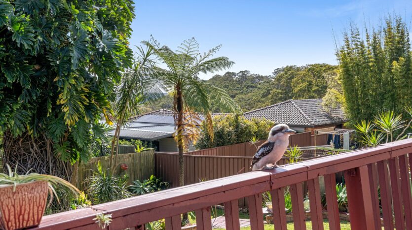 Terri Mackay Realty -  15 Sabugal Road